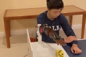 Make your own brain controlled prosthetic arm and make it move for a fraction of the cost!